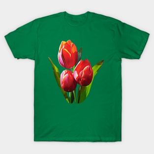 Three Red Tulips T-Shirt